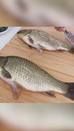 Fish Scale Remover Scrapper Scaler Cutter Cleaning Tools for Kitchen Home(Pack of 2)