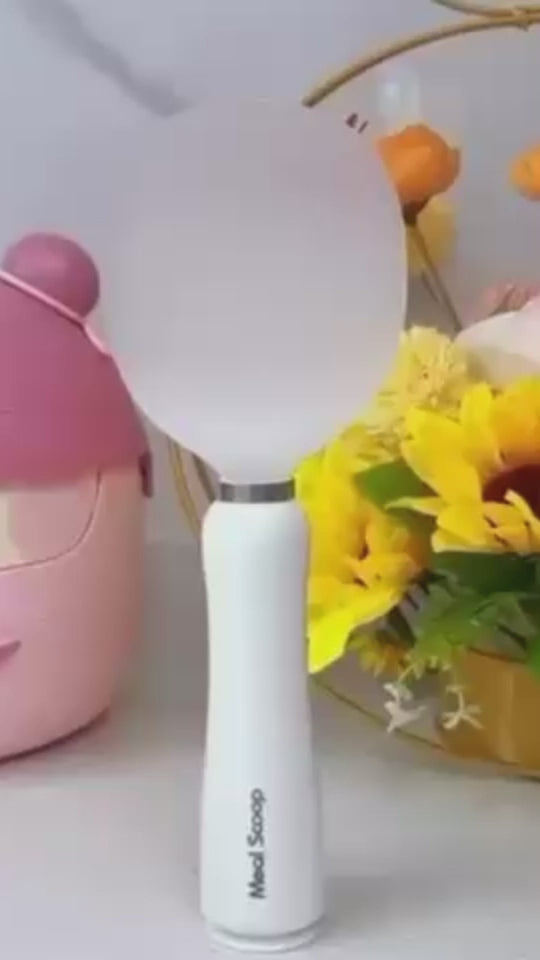 Self Standing Rice Scoop Spoon with Non Stick Coating (Pack of 2)